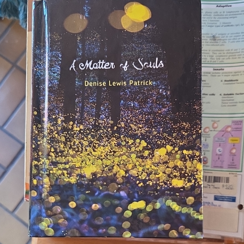 A Matter of Souls Hardcover Book
